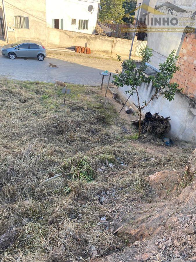 WhatsApp Image 2025-05-29 at 08.34.55 (1).jpeg